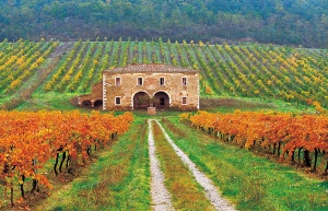 Software gestionale per agriturismi